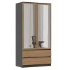 Topeshop SZAFA MALWA AN/AR L bedroom wardrobe/closet 5 shelves 2 Tür(s)