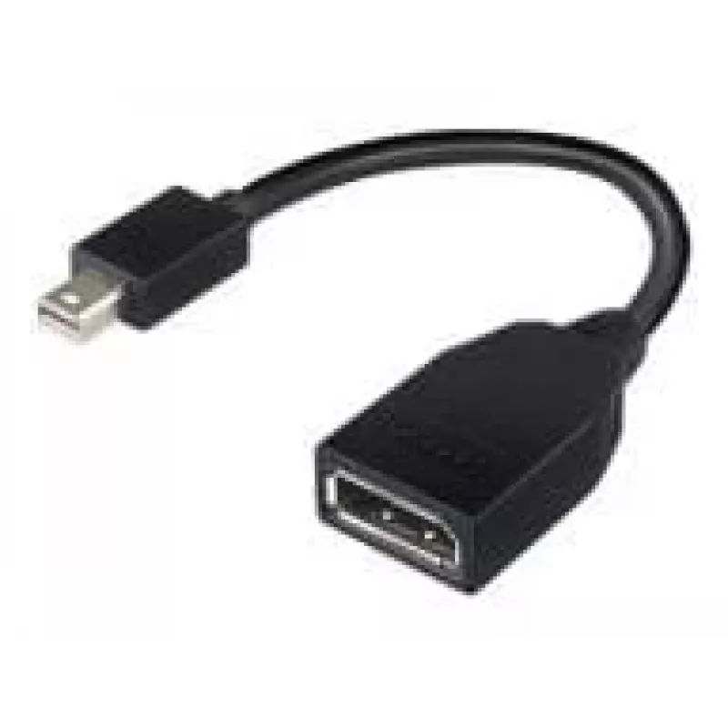 Lenovo 4X90L13971 DisplayPort-Kabel Mini DisplayPort Schwarz