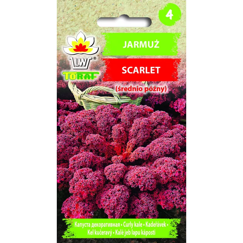 Scarlet Toraf Grünkohlsamen, 1g Packung