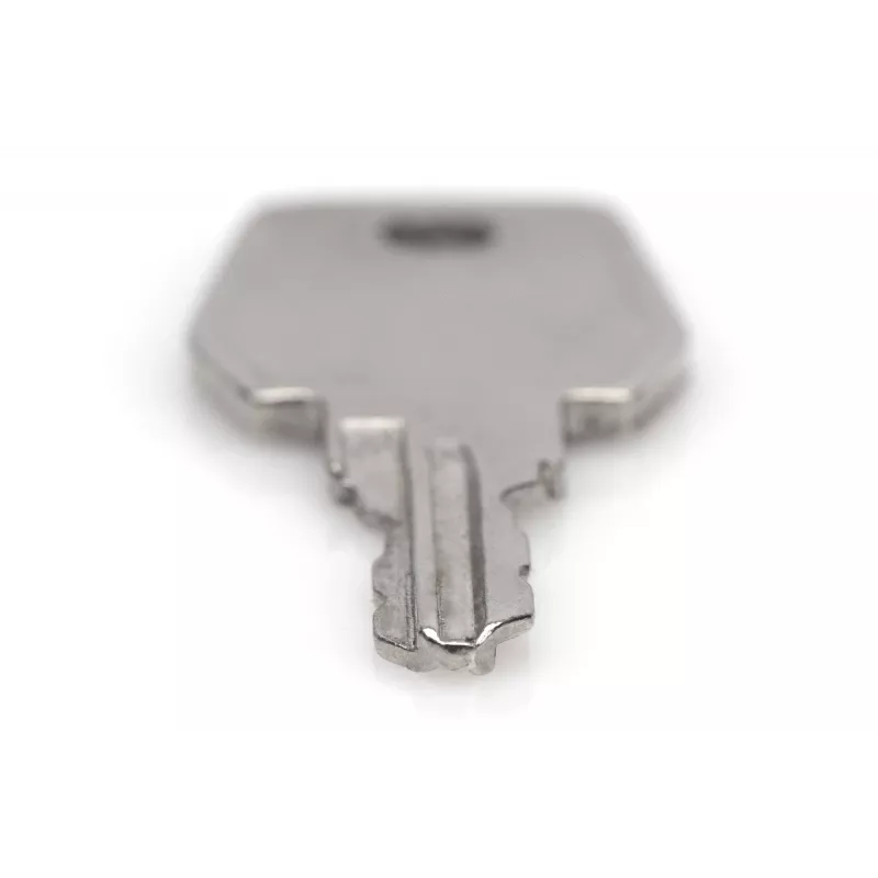 Schlüssel für Netzwerk- und Serverschränke Digitus DN-19 KEY-9473