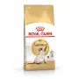 Trockenfutter für Katzen Royal Canin Siamese 2 kg — Ausgewachsene Katzen, Geflügel, Protein 38%, Fett 16%