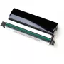 Zebra P1058930-009 Druckkopf Thermotransfer