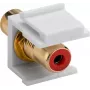 Goobay 79669 - Flach - Rot - Weiß - RCA - RCA - Buchse - Buchse (79669)