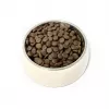PUPIL Premium Insekten - Trockenhundefutter - 12kg