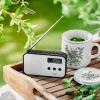Tragbares Digitalradio Adler AD 1907 — UKW/MW, digitaler Tuner, Wecker, USB-C, 600 mAh Akku, LCD, 20 Senderspeicher, Teleskopantenne
