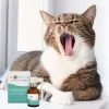 Mundhöhlenspray JM Sante Vet Protector 30 ml für Hunde und Katzen, flüssig, konservierungsmittelfrei, zuckerfrei