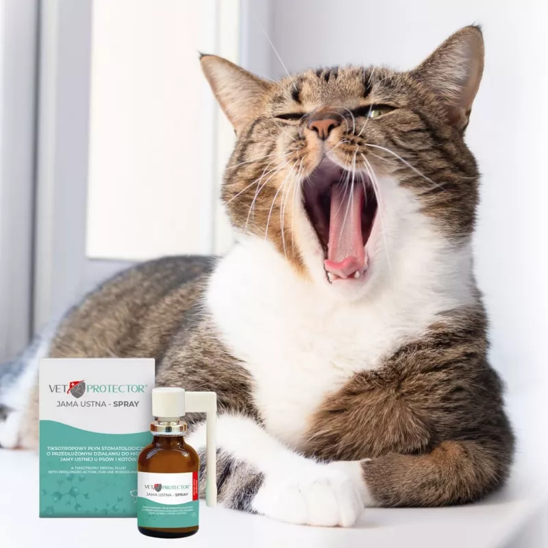Mundhöhlenspray JM Sante Vet Protector 30 ml für Hunde und Katzen, flüssig, konservierungsmittelfrei, zuckerfrei
