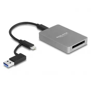 DeLOCK USB Typ-C Kartenleser CFexpress XQD Aluminium Grau 10000 Mbit/s