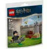 LEGO Harry Potter Set 30706 Quidditch-Unterricht mit Harry und Draco Minifiguren