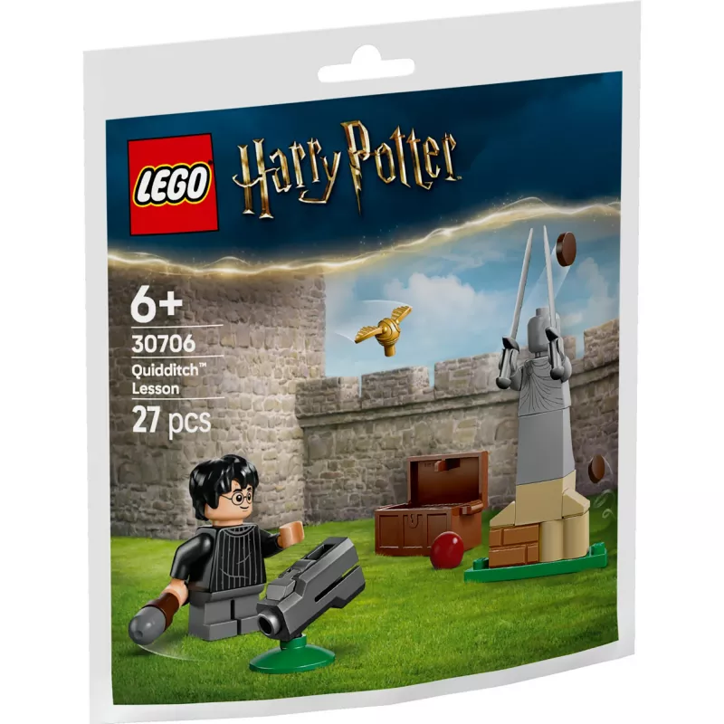 LEGO Harry Potter Set 30706 Quidditch-Unterricht mit Harry und Draco Minifiguren