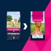 Trockenfutter für Hunde EUKANUBA Senior Large Lamb and Rice 12 kg — für große ältere Hunde, 24 % Protein, 12 % Fett