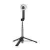 Telesin Magnet-Selfiestick für iPhone 12-16
