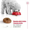 ROYAL CANIN Mini Ageing Adult +12 - Trockenfutter für Hunde - 3,5 kg
