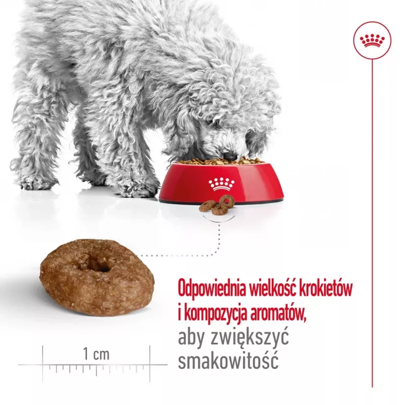 ROYAL CANIN Mini Ageing Adult +12 - Trockenfutter für Hunde - 3,5 kg