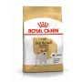 ROYAL CANIN Jack Russell Adult Trockenfutter für Hunde - 1,5 kg