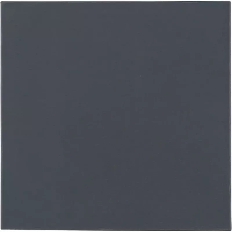 Thermal Grizzly Minus Pad Pro - 100 x 100 x 1,5 mm