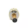 Mikrofon MANTA MIC10-G Gold Niere tragbar — Kondensator-Niere, Handdesign