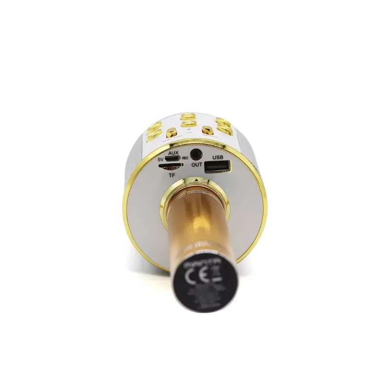 Mikrofon MANTA MIC10-G Gold Niere tragbar — Kondensator-Niere, Handdesign