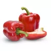Samenpackung Seklos LT Paprika Jolanta 0,5 g – Süßpaprikasamen für den Anbau