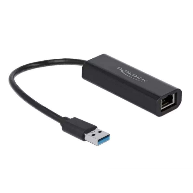 Netzwerkkarte DeLOCK 66299 Ethernet 5000 Mbit/s