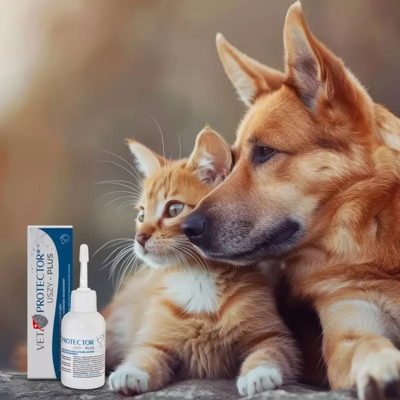 Ohrlösung JM Sante Vet Protector Uszy Plus 50 ml — Ohrenpflege für ausgewachsene Hunde und Katzen, Kunststoffflasche