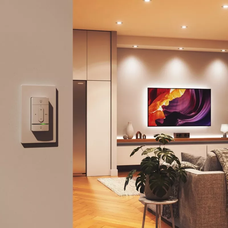 Intelligenter Funk-Schalter Nanoleaf N4400C02-1BUT — batteriebetrieben, anpassbare Steuerung für intelligente Leuchten und Geräte