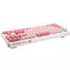 Ducky One 3 TKL Gossamer Pink Tastatur Gaming USB US Englisch Pink, Weiß