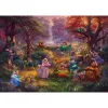 Thomas Kinkade Studios: Disney - Robin Hood, Puzzle 1000 Teile