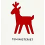 Weihnachts-Grüntee Sencha Spice, loser Tee, 100g - Teministeriet