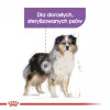 Trockenhundefutter Royal Canin Medium Sterilised Adult 12 kg — für sterilisierte ausgewachsene Hunde mittelgroßer Rassen, Geflügel, Protein 28%, Fett 13%