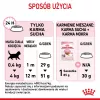 Trockenfutter für Katzen Royal Canin Kitten 10 kg – Huhn, 36 % Protein, 18 % Fett, für Kätzchen und trächtige/säugende Königinnen