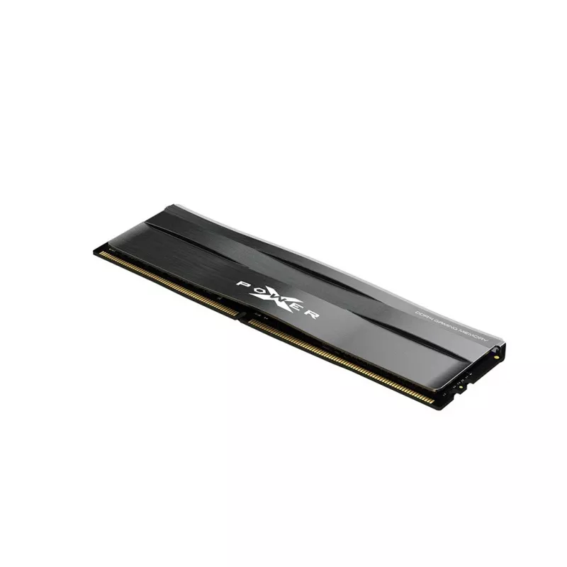 Silicon Power SP008GXLZU320BSC Speichermodul