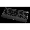 Qpad 9J.P7N81.K0G Schwarz