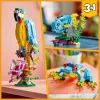 LEGO Bauset Exotischer Papagei 31136 — Creator Display-Modell, 253 Teile, 220×120×110 mm