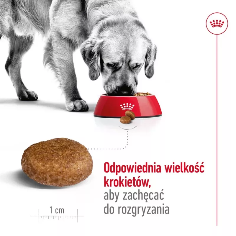 Trockenfutter für Hunde Royal Canin Maxi Adult 5+ 15 kg — Huhn, Protein 26 %, Fett 17 %