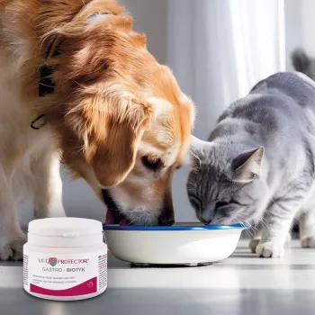 Nahrungsergänzungsmittel JM Sante Multibiotic Vet Protector Gastro für Hunde und Katzen, 60 g – probiotische Unterstützung für ausgewachsene Haustiere