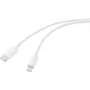 Renkforce USB-Kabel USB 2.0 USB-C®-Stecker, Apple Lightning-Stecker 2,00 m Weiß (matt) RF-5724080 (RF-5724080)