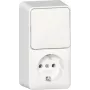 GIRA SCHUKO-Steckdose 417613 Kombination Schalter vertikal Aufputz RW (417613)
