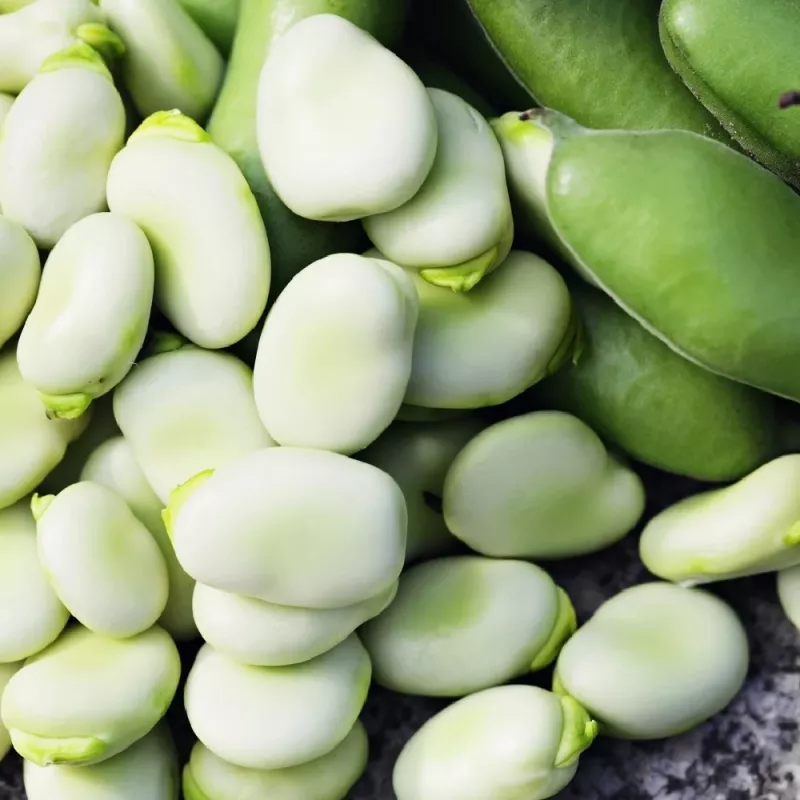 Samenpackung Apte PNOS — Ackerbohne (Favabohne) Jankiel Biały, 50 g