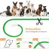 LED-Halsband Anicoll Grün für Hunde und Katzen Modell wiederaufladbare Beleuchtung