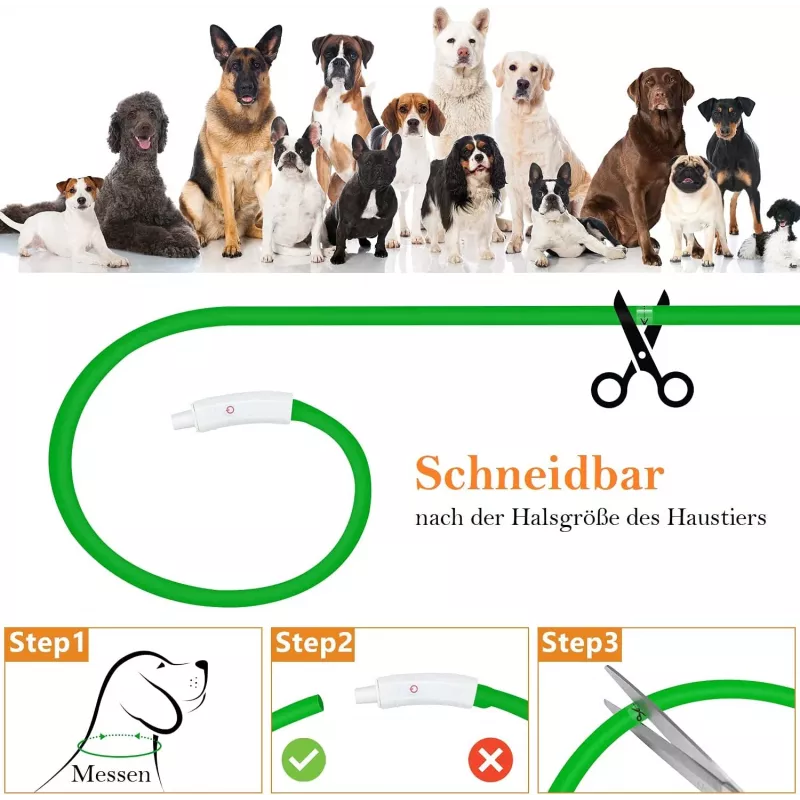 LED-Halsband Anicoll Grün für Hunde und Katzen Modell wiederaufladbare Beleuchtung