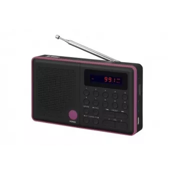Radio Pliszka USB, FM schwarz