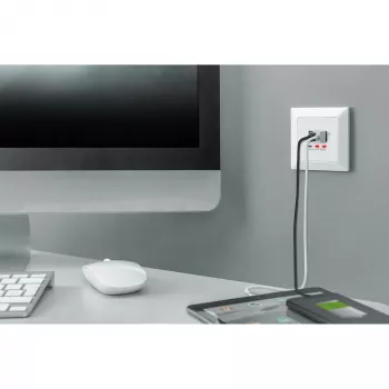 DIGITUS DA-70618 - USB-Ausgang - USB, USB Typ C - 2 USB-Anschlüsse, 1 USB-C-Buchse - 3,1 A - RAL 9003, Signalweiß