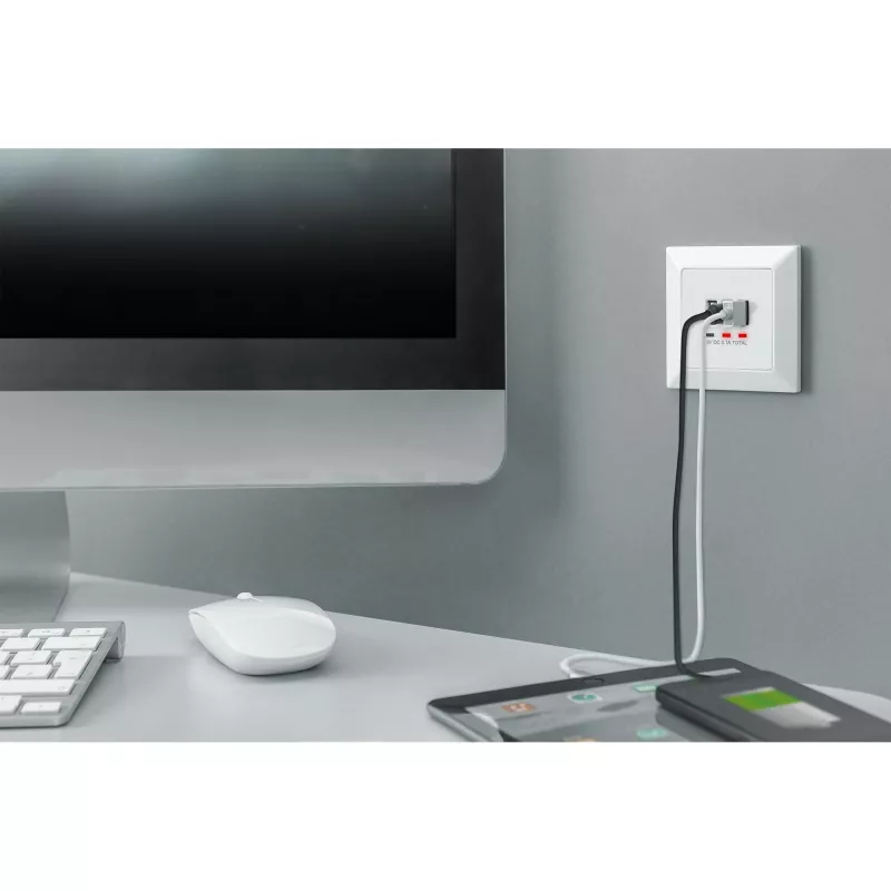 DIGITUS DA-70618 - USB-Ausgang - USB, USB Typ C - 2 USB-Anschlüsse, 1 USB-C-Buchse - 3,1 A - RAL 9003, Signalweiß