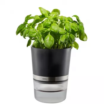 GEFU BOTANICO Kräutertopf freistehend Kunststoff, Edelstahl Schwarz