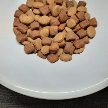 PUPIL Prime Mini Reich an Geflügel mit Rind - Trockenfutter für Hunde - 10kg