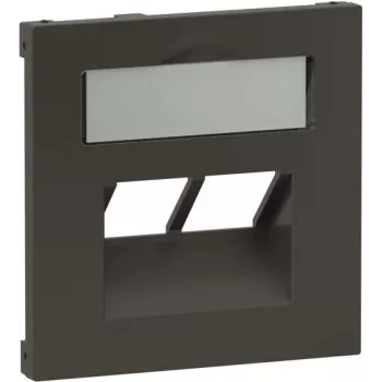 Abdeckplatte Legrand SEANO für 2x RJ45-Datendosen, anthrazit (765459)