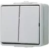 JUNG 605 W - Drucktasten-Schalter - 2P - Verkabelt - Grau - Duroplast - 250 V