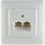 Wandmontierte Telefonanschlussdose ShiverPeaks S/CONN 8/8 - 8/8 mit 2 Leitungsports und Metallrahmen für Unterputzinstallation (74241-)