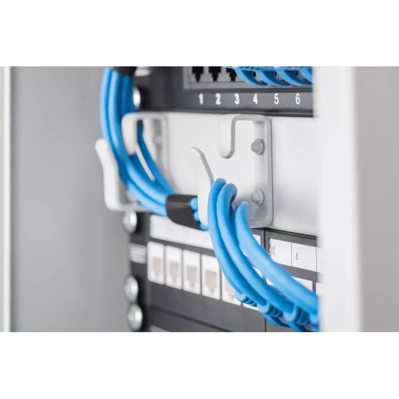Kabelmanagement-Panel Digitus DN-10 ORG-1U